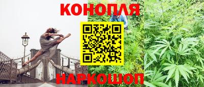 PSILOCYBIN Владикавказ