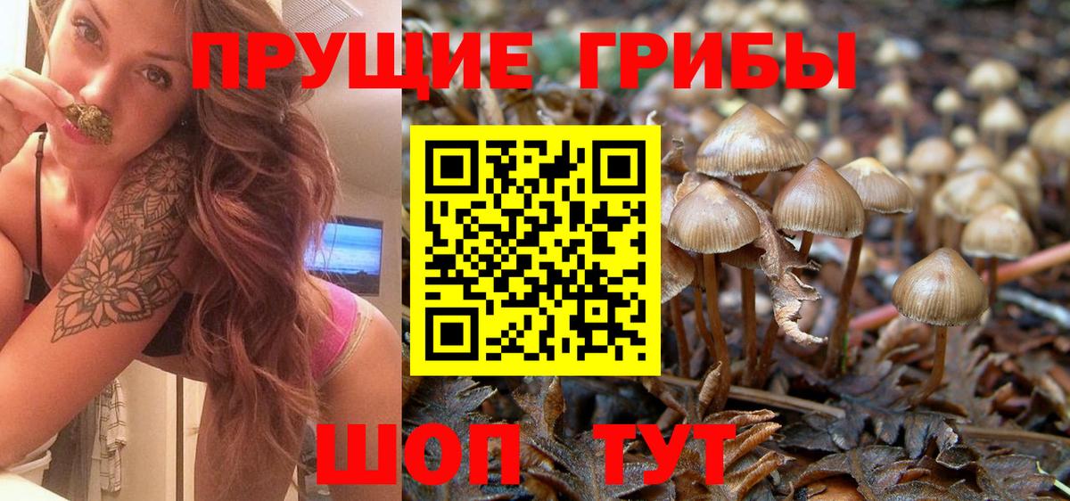 Горячий Ключ  Галлюциногенные грибы Psilocybine cubensis  Галлюциногенные грибы MAGIC MUSHROOMS  Вход с VPN 
