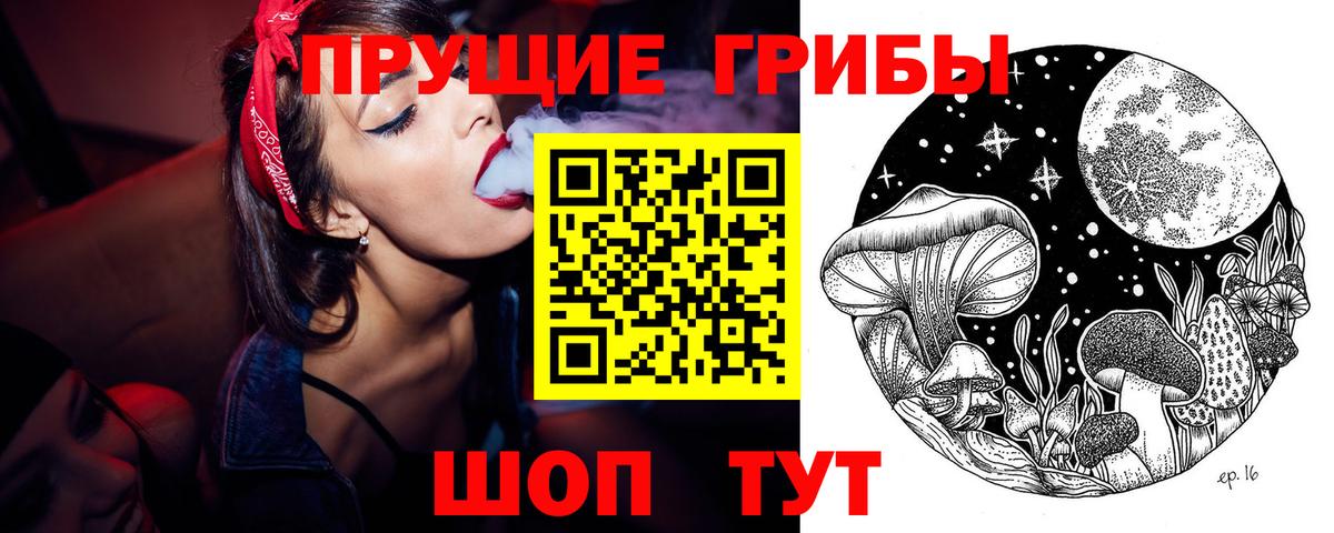 Галлюциногенные грибы Cubensis Горячий Ключ